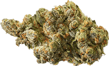 Blue Haze