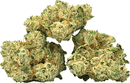 Burmese Ksh